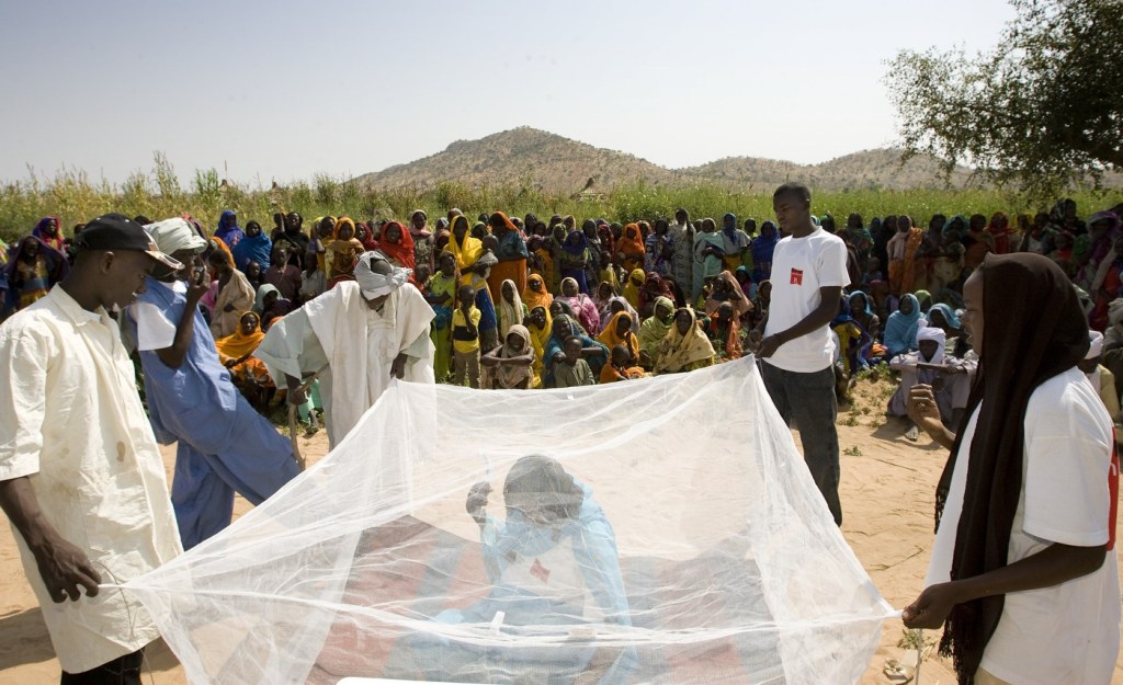 MENTOR's past work in Chad - The MENTOR Initiative